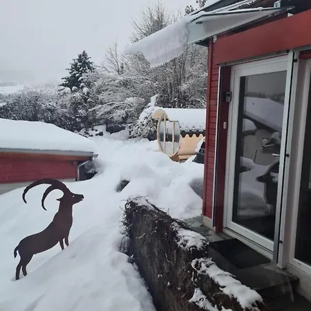 Schmuckes Chalet Mit Fantastischer Bergsicht *